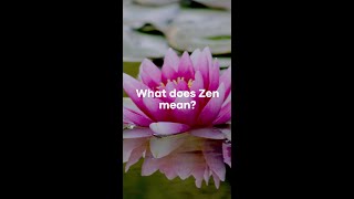 What is the meaning of Zen? | Osho Taigu | The Pure Land Foundation