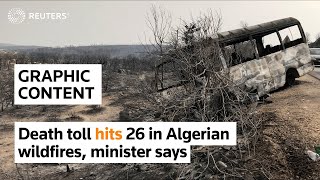 WARNING: GRAPHIC CONTENT - Death toll hits 26 in Algerian wildfires, minister says