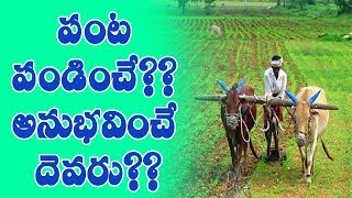 పంట పండించే దేవరు? అనుభవించే దెవరు? || Who is cultivator of the crop? Who is experienced? ||