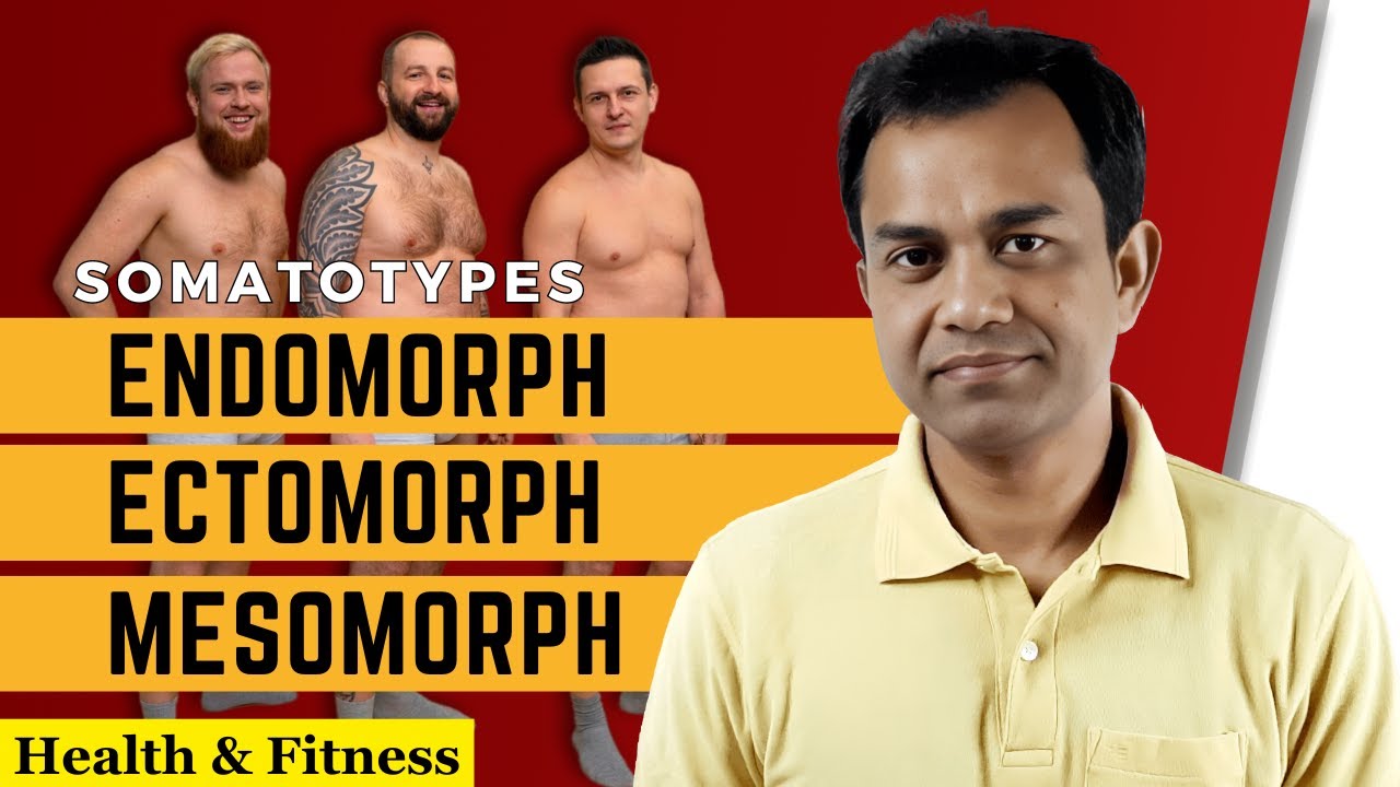 Somatotypes Endomorph Ectomorph And Mesomorph Youtube