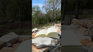 #бог #любовь #книга #природа #писание #лес #камни #ветер #4K #HD