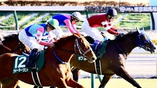 【重賞】第75回東京新聞杯実況[優勝馬　ウォーターリヒト　菅原明良騎手]