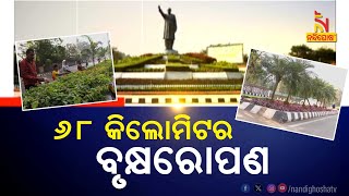 ବିଏମସିର ସ୍ବତନ୍ତ୍ର ଯୋଜନା, ରଙ୍ଗବେରଙ୍ଗ ଫୁଲରେ ସଜେଇ ହେବ ରାଜଧାନୀ ରାସ୍ତା | BMC Beautification|