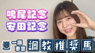 【安田記念】連覇を狙うグランアレグリアは好状態キープ！勝利を手にするのは？