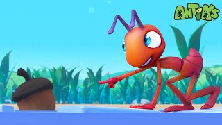 Little Ants on Thin Ice | 1 Hour of Antiks🐜 | Funny Adventure Cartoons for Kids | Be Brave!