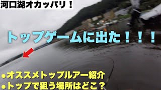 夏のバス釣り！定番！夕方オカッパリでトップウォーターで出た！オススメのポッパー、ペンシルを紹介！狙う場所はどこ？今回は河口湖オカッパリ！河口湖バス釣り/バス釣り/オカッパリ/河口湖釣り