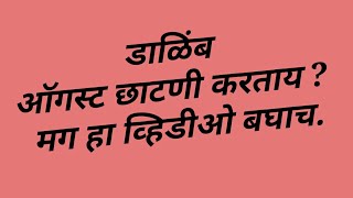 डाळिंब शेती , ऑगस्ट छाटणी करताय ? मग हा व्हिडिओ बघाच.