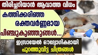 തിരിച്ചറിയാൻ ആവാത്ത കത്തിക്കരിഞ്ഞ രക്തവർണ്ണമായ പിഞ്ചുകുഞ്ഞുങ്ങൾ| BABIES MURDERED AND BURNT IN ISRAEL