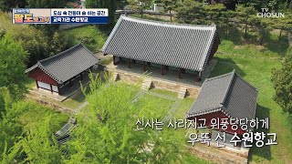 고즈넉한 느낌 물씬~✧ 국가지정문화재 ❛수원향교❜ TV CHOSUN 20210508 방송  | [현.지.인의 팔도보고서] 1회 | TV조선