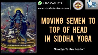 Moving Semen to Top of Head in Siddha Yoga