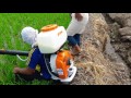 Stihl fumigacion en arroz