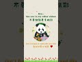 熊貓的八百個心眼子 全都寫臉上了 panda 七仔 cute animals pandas 熊貓 animalshorts 搞笑 funnyanimals