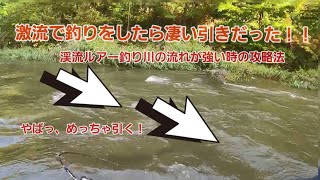 【渓流釣り】激流で釣りしてたら凄い引きだった！！流れが強い時は○○を狙うと釣れる