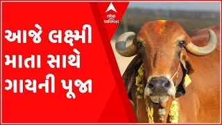 ધનતેરસ નિમિત્તે ગાયની કરવામાં આવે છે પૂજા, જુઓ શું છે મહત્વ?