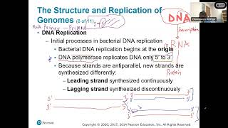 Chapter 7- Microbial Genetics Part 2 of 3