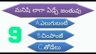 మనిషి లాగా ఏడ్చే జంతువు || GK Telugu #generalknowledge #2024