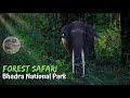 Bhadra Tiger Reserve in Karnataka | Forest Safari Experience