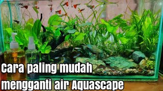 #84 Cara mengganti air dan memberi pupuk cair di Aquascape