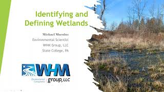 Wetlands Mitigation Law and Procedure