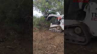 Bobcat T190 pulling giant weeds! (check out Sunnyside Sustainable)