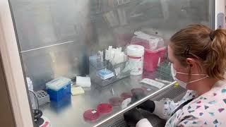 Lab Tour 2021