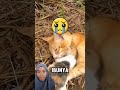 JIKA BERTEMU BONEKA INI, JANGAN MENGAMBILNYA 😱 #viralvideo #trending #shorts #short #shortvideo