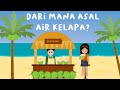 PROSES TERBENTUKNYA AIR KELAPA!