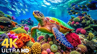 Dive Into the Mesmerizing Underwater Realm and Marvel at Sea Animal in The Best 4K ULTRA HD Aquarium