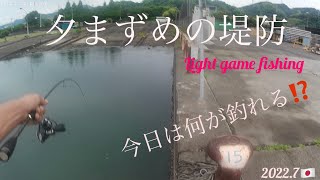 【ライトゲーム】ライトタックル持って！夕まずめの堤防に行こう‼️🎣