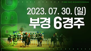 (부산) 2023.07.30 6경주