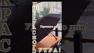 Дождливое доброе утро ☔️🤗