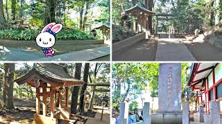 富士浅間神社　 (柏市中新宿)　【地域の散歩道】