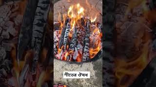 শীতের আরাম #fire #winterspecial #fireplace #viralvideo #shorts #trending #mrsamio