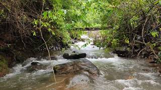 | साकव | कोकण | सिंधुदुर्ग | आठवणी | पाऊस | #sakav #kokan #travelstories #monsoon #nature