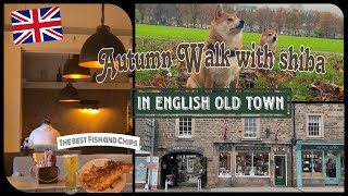 [Part 2] 豆柴と歴史あるイギリスの小さな田舎町をお散歩🐕🍁パブご飯やお土産も♪ Lets walk with shiba in English countryside🍄+Pub food🍺