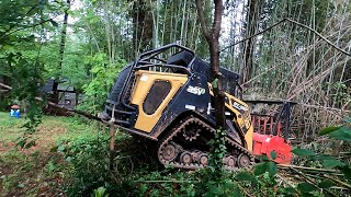 Forestry Mulching Bamboo in a Small Backyard