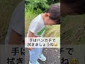 手洗いの予行練習をする1歳2ヶ月 shorts 赤ちゃん