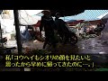 【スカっとする話】里帰り出産中夫の浮気が発覚。バレてないと思ってる夫に私「明日から私いないから」夫「また実家に帰るのか？」私「うん！」即家出した結果