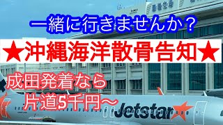 Jetstar利用　沖縄海洋散骨下見