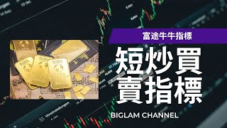 短炒買賣指標｜富途牛牛指標編寫｜教學｜分享｜程式交易 【廣東話 】