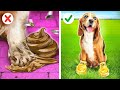 RICH VS POOR PET GADGETS || Hacks by 123 GO! GLOBAL