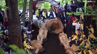 豪快に「ミニ木落し」　諏訪大社御柱祭下社里曳き…長野