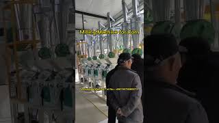 Great Milling Machine for Corn Processing: Large Grain Grinding Machine Plant with Packaging Machine