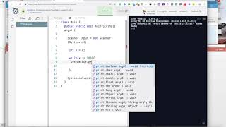 The while loop with user inputs