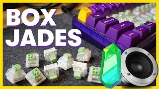 Kailh BOX JADE Sound Test \u0026 Review (SO DIFFERENT) // Stock vs Cherry MX Blue