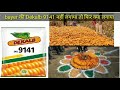 bayer dekalb 9141 maize हाइब्रिड मक्का किश्म