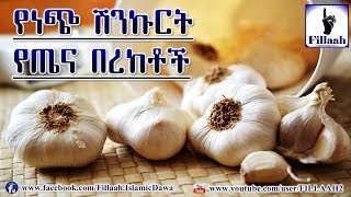 የነጭ ሽንኩርት የጤና በረከቶች