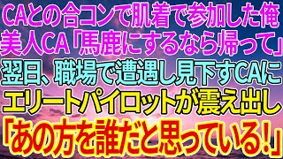 【感動する話】CAとの合コンで肌着で参加した俺。美人CA「馬鹿にするなら帰って」翌日、職場で遭遇し見下すCAにエリートパイロットが震え出し「あの方を誰だと思っている！」