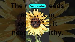 Compassion #curiosities #quotes #physchology #facts #psychology #psychological