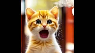 💗Adorable Kitten Sings! Unbelievably Cute Cat Vocal Performance💗 #cats #cat #cute #funny #kittens